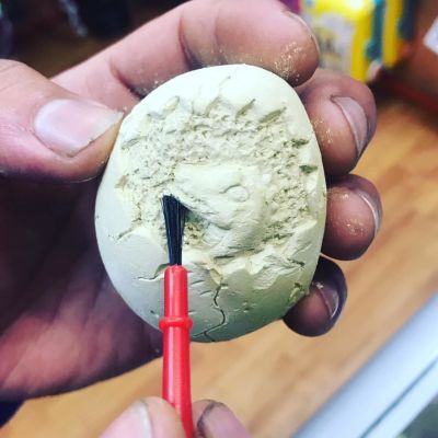 Dinosaurio huevo fosil Dinosaurio huevo fosil