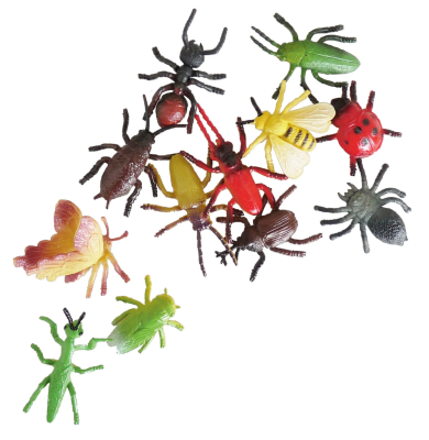 Set Insectos