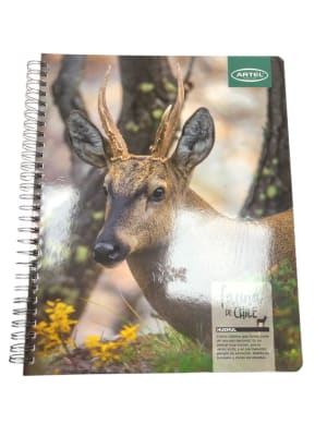 Cuaderno Universitario Artel Fauna de Chile2