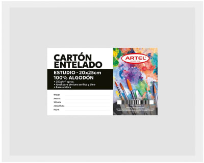 Carton Entelado 250grs 22x30