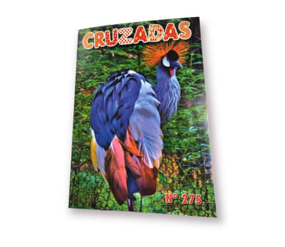 CRUZADAS