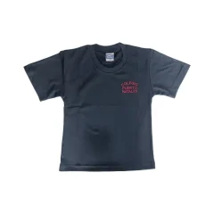 Polera azul Colegio Puerto Natales