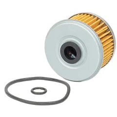 Filtro Aceite Xr 250 / Cbx 250 / Xre 300 / Tnt 150 Fi