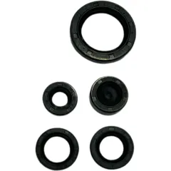 Kit de Retenes Motor GN 125 / RKS 150 / TX 150 / GXT 200 BJ