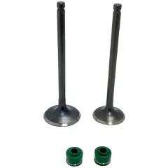 Válvulas Motor GN 5.5 mm Admisión + Escape con Retenes SEIPRO