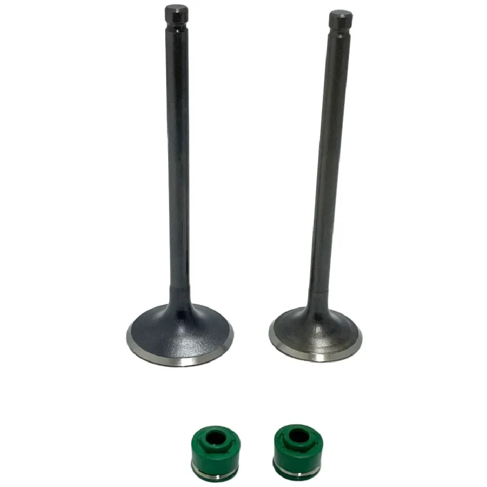 Válvulas Motor GN 5.5 mm Admisión + Escape con Retenes SEIPRO1