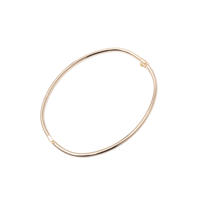 BRAZALETE CLÁSICO1