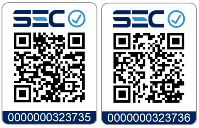 Interruptor Simple + Enchufe Champagne SEC