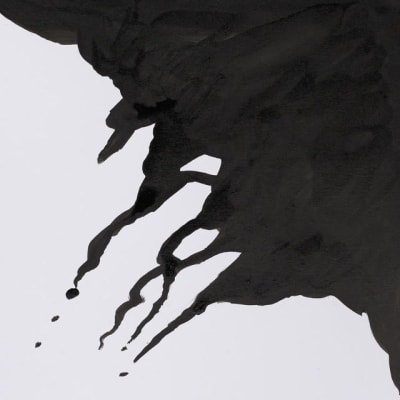 Tinta China Winsor & Newton 30ml (No resistente al agua)