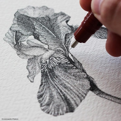 ISOGRAPH ROTRING 02mm