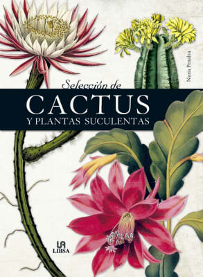 SELECCION DE CACTUS Y SUCULENTAS LIBSA1