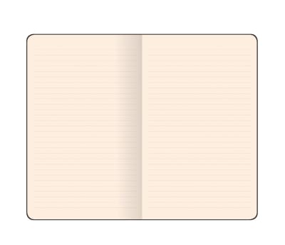 FLEX BOOK ADVENTURE NOTEBOOK RULED A6 NEGRA