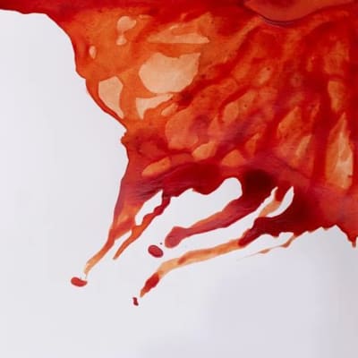 Tinta China Winsor & Newton 14ml