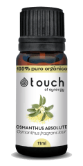 Olivo Dulce (11 ml)