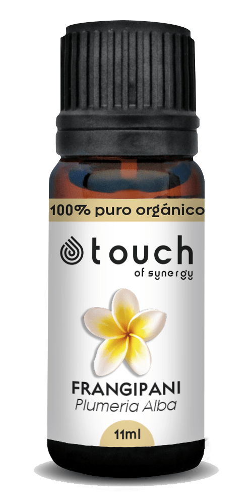Plumeria (11 ml)2
