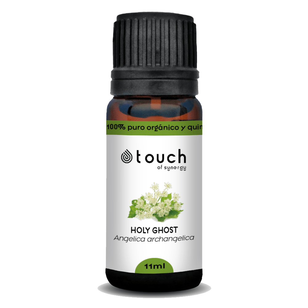 Angélica Raíz (11 ml)2