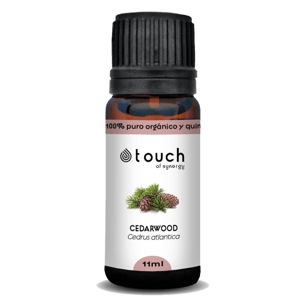 Cedro de Atlas (11 ml)2