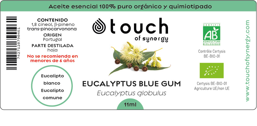 Eucalipto Comun (11 ml)2