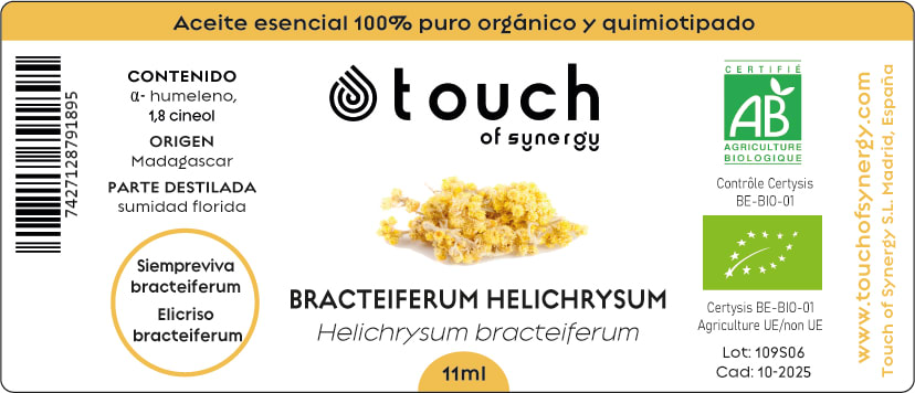 Siempreviva Bracteiferum (11 ml)1
