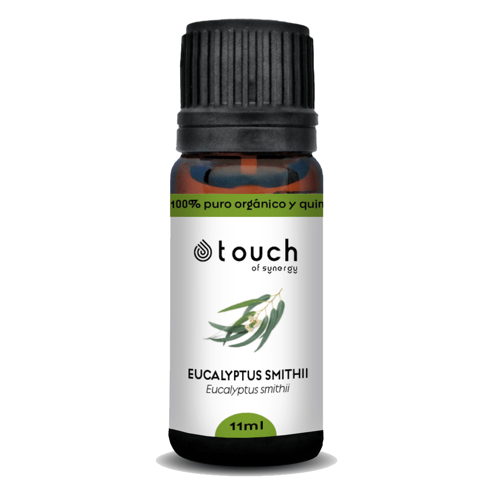 Eucalipto Smithii (11 ml)2