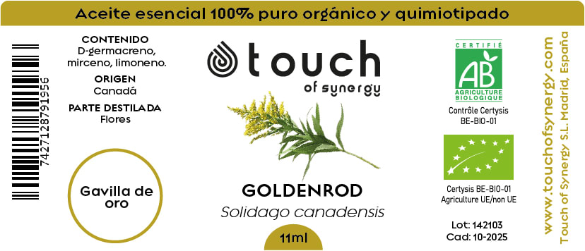 Gavilla de Oro (11 ml) 1