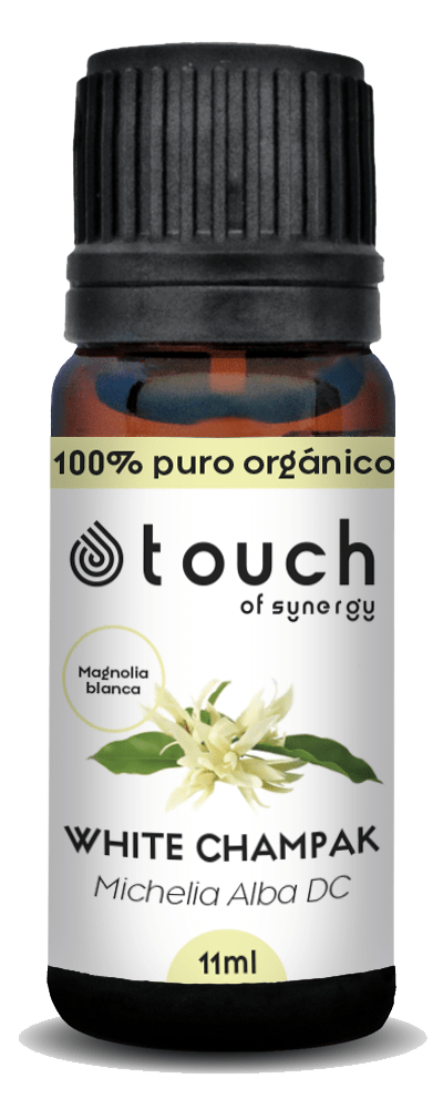 Magnolia Blanca (11 ml)2