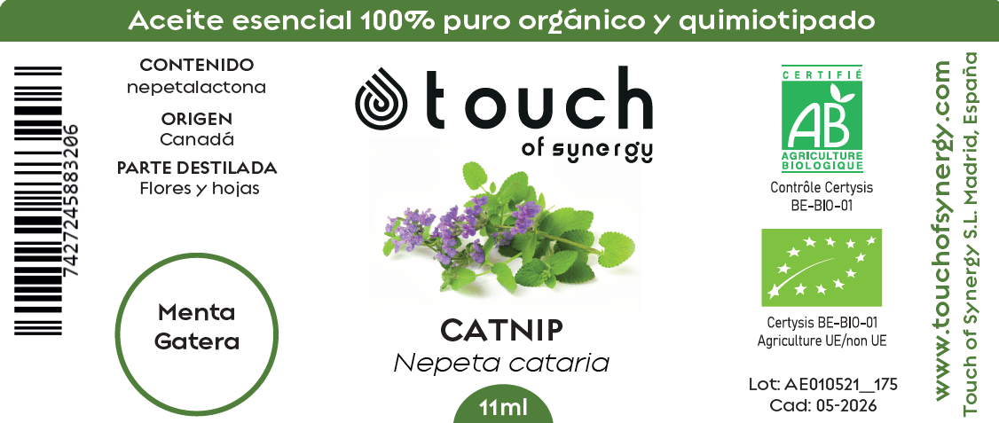 Menta gatera (11 ml)1