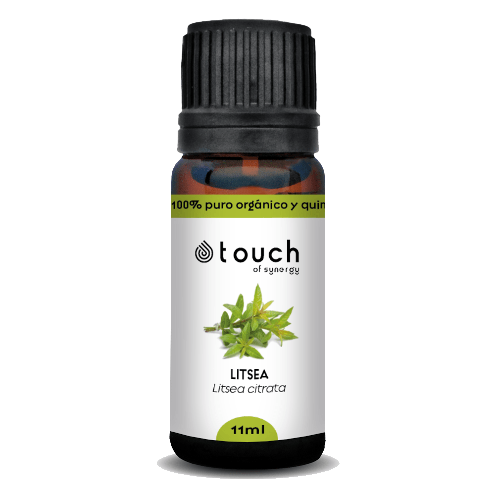 Verbena Exótica (11 ml)2