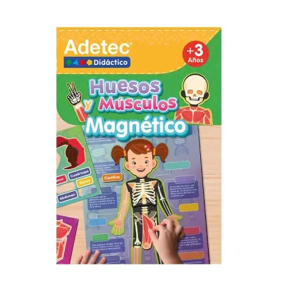 Lamina Huesos Y Musculos Adetec1