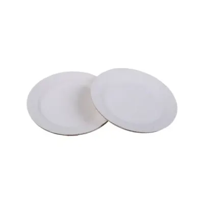 Plato Carton Chico 17 Cm 10 Unidades1