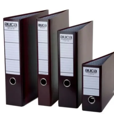 Archivador Oficio Angosto Burdeo Auca1