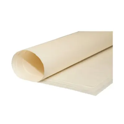 Papel Papelografo 66X88 Cm 10 Unidades. 80 Grs Diazol1