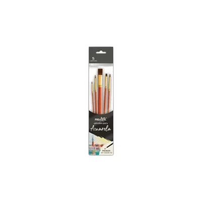 Pincel Set Acuarela 5 Unidades. Proarte1