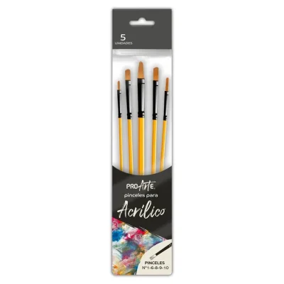 Pincel Set Acrilico 5 Unidades. Proarte1