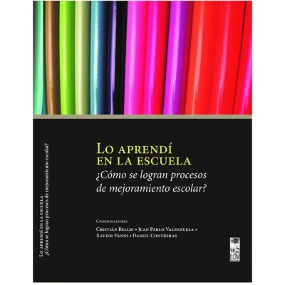 Libro Lo Aprendi En La Escuela ¿Como Se Logran Procesos De Mejoramiento Escolar? - Edic. Lom1