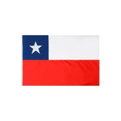 Fiestas Patrias Bandera De Chile 60X90 Cm1