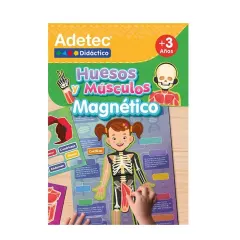 Lamina Huesos Y Musculos Adetec