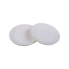 Plato Carton Chico 17 Cm 10 Unidades
