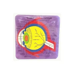 Figura Goma Eva Globo Ocular Art And Craft