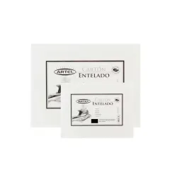 Carton Entelado 35X45 Cm Artel