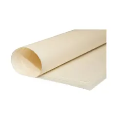Papel Papelografo 66X88 Cm 10 Unidades. 80 Grs Diazol