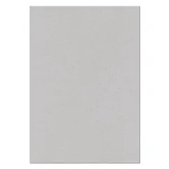 Carton Piedra 2.0 Mm 77X110 Cm Proarte