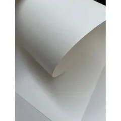Pliego Cartulina Fabriano Tiziano 160Grs-200Grs. Blanco