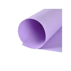 Pliego Cartulina Española Lila
