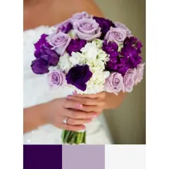 Roson Morado Con Lila