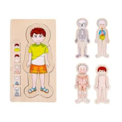 Rompecabezas Niveles Partes Del Cuerpo Madera