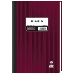 Libro Contab. Diario 100 Hojas Buho