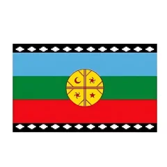 Fiestas Patrias Bandera Mapuche 60X100 Cm