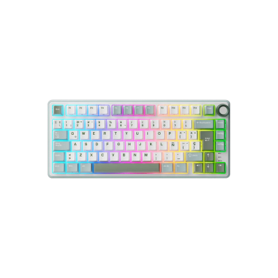 TECLADO MECANICO ROYAL KLUDGE RK-R75 RGB CABLEADO 75% ESP (SW-K SILVER) SKYCYAN1