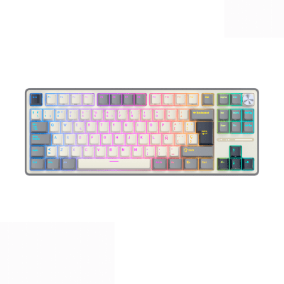 TECLADO MECANICO ROYAL KLUDGE RK-R87PRO RGB CABLEADO 80% ESP (SW-CREAMY) HALF GREY1
